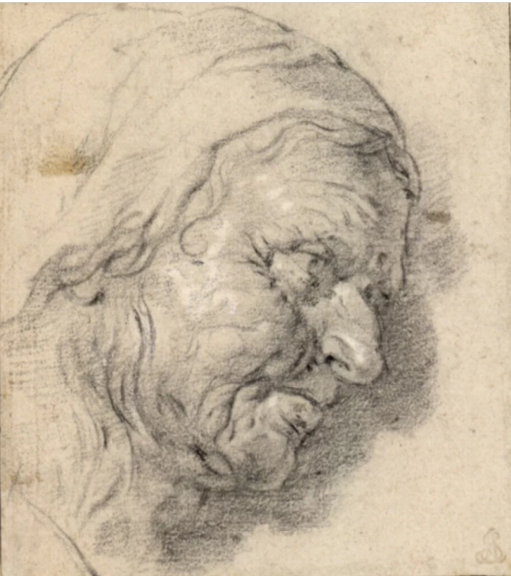 Disegno - Studio di testa di donna girata a destra